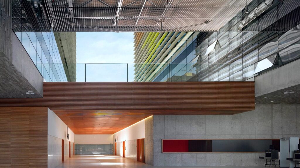 WhatsApp Image 2024-11-04 at 3.11.22 p. m.